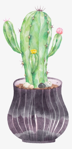 Cactus Png