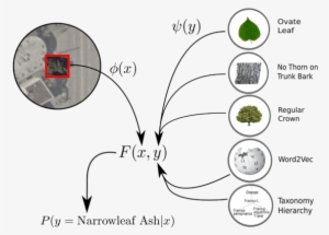 Our Proposed Framework Learns The Compatibility Function - Remote Sensing Recognition Area