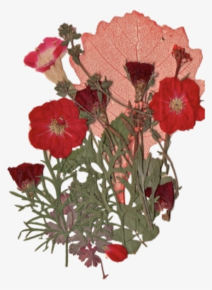 Report Abuse - Red Flowers Tumblr Png