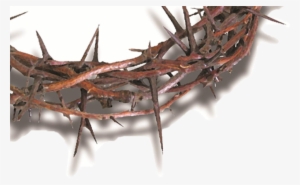 Church] Crown Of Thorns And Nails Png - Enslaved To Saved: The Metaphor Of Christ As Our M