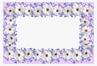 Frame, Border, Floral, Design - Greeting Card