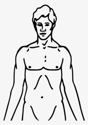 Pioneer Plaque Man Upper Body As Diagram Template - Chemical Basis Of Love