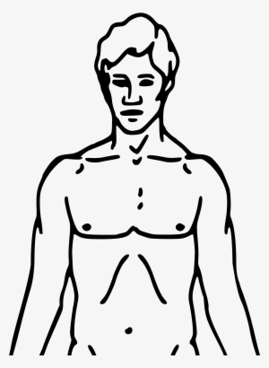 Graphic Freeuse Download Body Outline Clipart - Chemical Basis Of Love