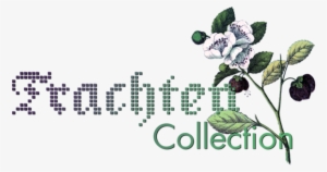 Trachtencollection Logo Transparent - Lookbook