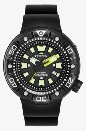 Promaster Diver