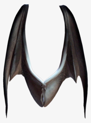 Wings Png - Yarasa Kanat Png