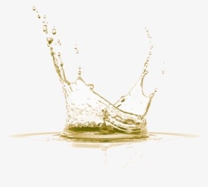 Sunlight Triggers Chemical Reactions That Make The - North American Hemp Co. Volumizing Conditioner 342