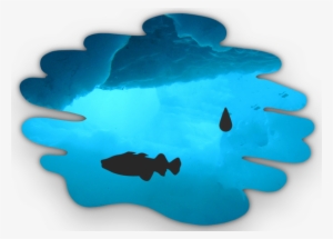 Modeling The Impacts Of Oil Spills In The Beaufort - Electric Blue