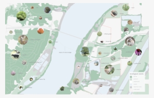 Flora Fauna - Illustration