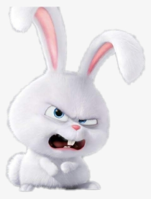 Report Abuse - Secret Life Of Pets 2017 Annual