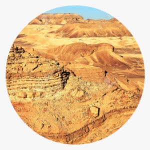 Red Mountains - Bighorn