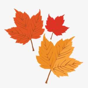 Autumn Leaves Svg Scrapbook Cut File Cute Clipart Files - Maple Leaf