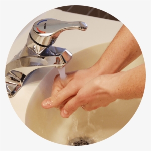 Washing Hands - Eucalyptus Essential Oil With Free Organza Gift Bag