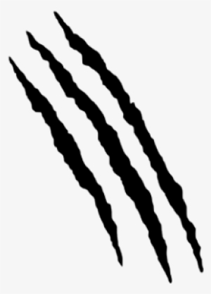 Plz Follow & Share - Sketch