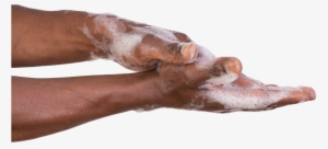 Product Installations - Transparent Brown Hands Png