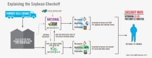 About The Soybean Checkoff - Diagram
