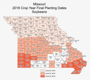 Mosoybeans Final - Diagram