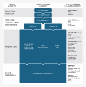 Download The Soybeans Brief - Palm Trees