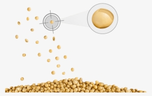 Precise Measurement Precise Measurement - Measurement