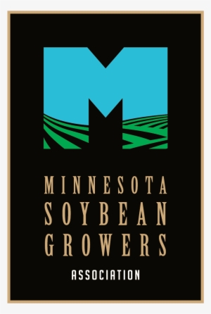 Minn - Soybean - Addicted Saving Abel Album Cover