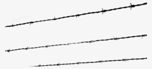 A Growing Evil - Holocaust Wires Png