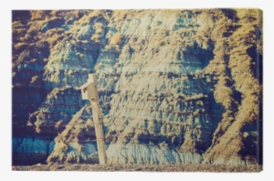 Bird House On Barbwire Wire Fence - Alberta