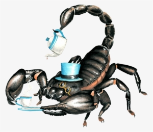 Mr - Scorpion - Fur
