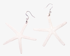 White Sugar Starfish Earrings - Earring