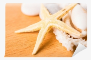 Starfish, White Coral, Shell On Wood Background Wall - Starfish
