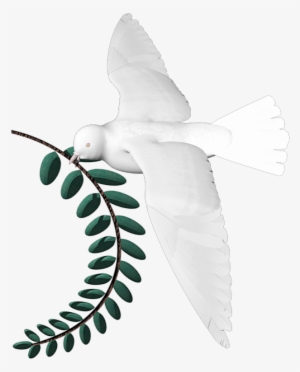 Png, Dove Larel Leaf - Freemasonry