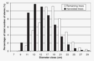 Dbh Series For Remaining And Harvested Birch Trees - Harvest