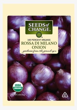 Organic Rossa Di Milano Red Onion Seeds - Onion * Rossa Di Milano * Organic Heirloom Seeds 2017