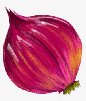 After Getting All The Graphic Elements Drawn And Approved, - Red Onion