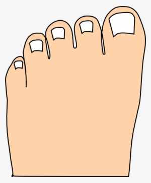 Small - Cartoon Picture Of Toes