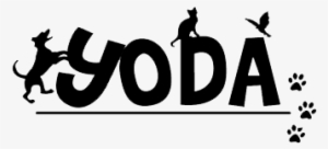 Mental Stimulation As Well - United Way Mumbai