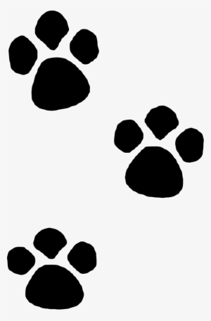 Paw Clipart Toe - Imagem Patas De Cachorro