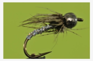 Silver Bh Soft Hackle Lightning Bug - Ichneumonoidea