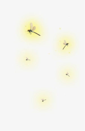 Edits Lightningbug Firefly Art Stickers - Fly