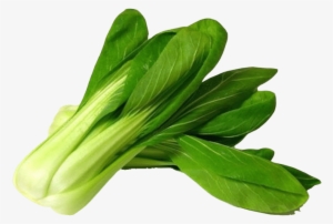 Free Png Bok Choy Png Pic Png Images Transparent - Bok Choy Png
