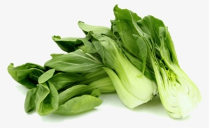 Free Png Bok Choy Png Images Transparent - Baby Bok Choy Png