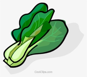 Bok Choy - Green Vegetables Clipart