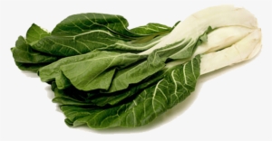 Free Png Bok Choy Png File Png Images Transparent - Chard Png