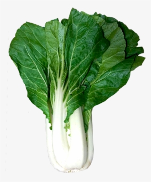 Chard