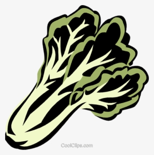 Bok Choy Royalty Free Vector Clip Art Illustration - Bok Choy
