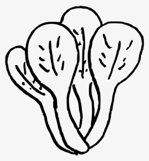 Doodle-bokchoy - Line Art