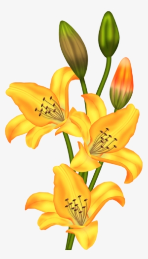 0 5b75d 7a1d2a08 Orig - Painted Lilium Flowers Png