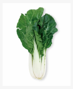 Did You Know That Bok Choy Is One Of The Driest Vegetable - Broccoli
