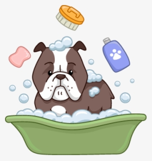 Bulldog Bathing - Dog Shower Png
