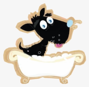 Dog Grommer< Dog Bath, Unlimited, Clean Doggy, Phoenix, - Doterra Essential Oils For Dog Hot Spots