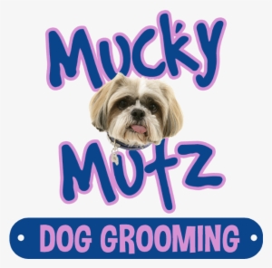 Chinese Imperial Dog